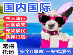 乌海机场快运国际宠物托运 【国